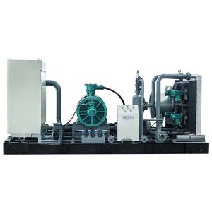 sprężarka gazu ziemnego